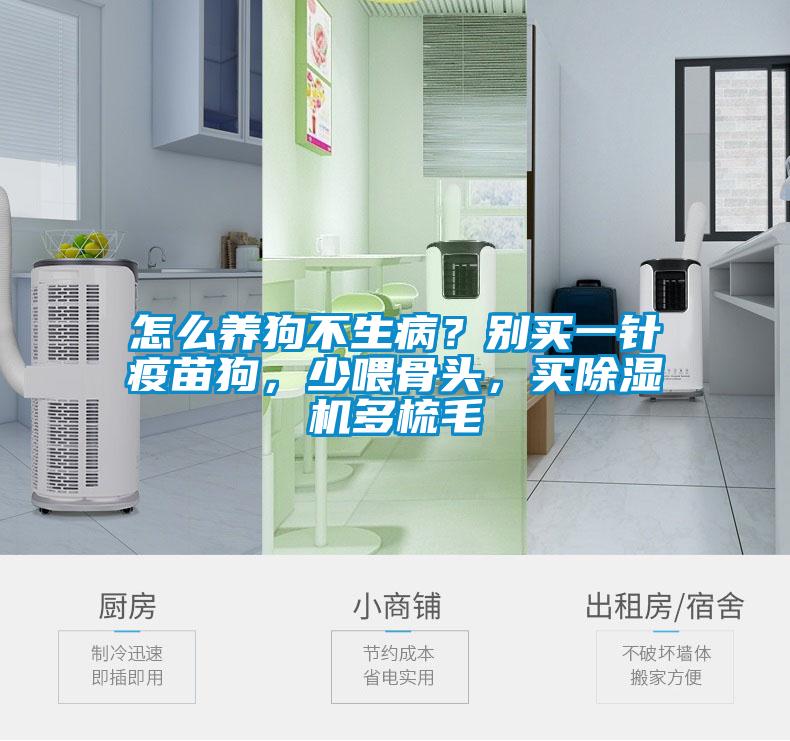 怎么養(yǎng)狗不生病？別買一針疫苗狗，少喂骨頭，買除濕機(jī)多梳毛