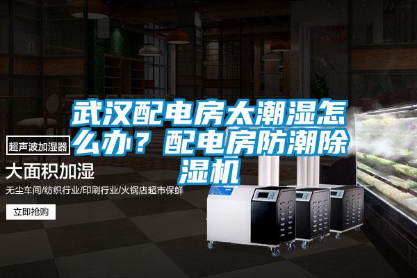 武漢配電房太潮濕怎么辦？配電房防潮除濕機(jī)