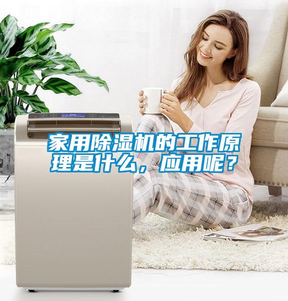 家用除濕機的工作原理是什么，應用呢？