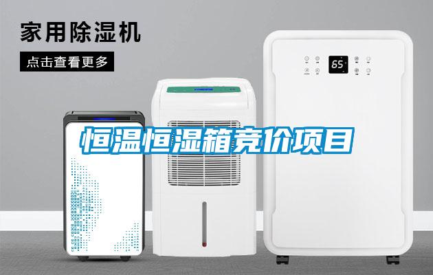 恒溫恒濕箱競價項目