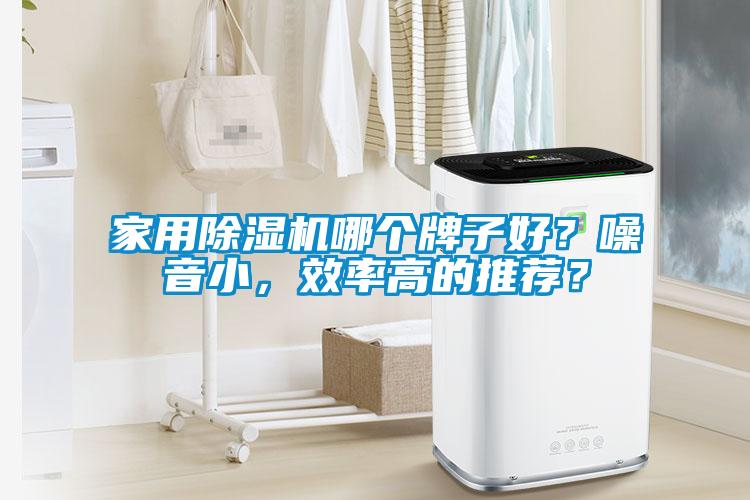 家用除濕機(jī)哪個(gè)牌子好？噪音小，效率高的推薦？