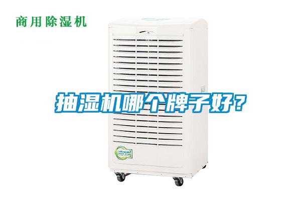 抽濕機哪個牌子好？