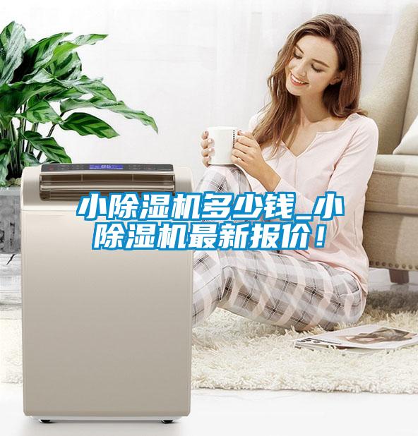 小除濕機多少錢_小除濕機最新報價！