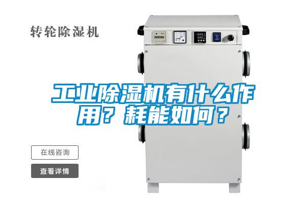 工業(yè)除濕機(jī)有什么作用？耗能如何？