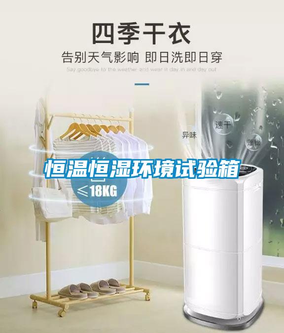 恒溫恒濕環(huán)境試驗箱