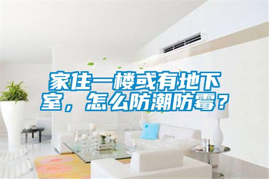 家住一樓或有地下室，怎么防潮防霉？