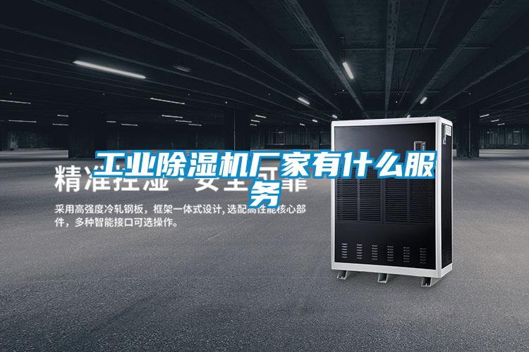 工業(yè)除濕機(jī)廠家有什么服務(wù)
