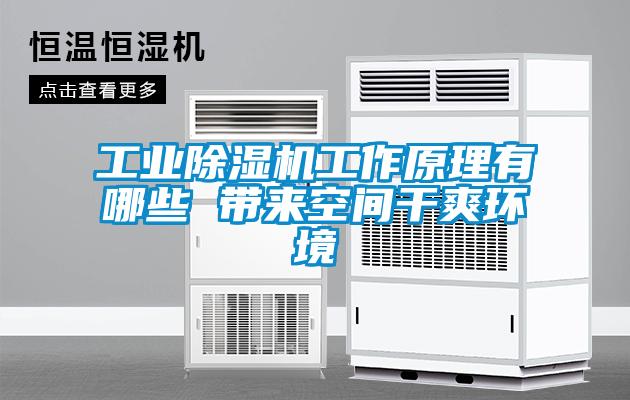 工業(yè)除濕機(jī)工作原理有哪些 帶來空間干爽環(huán)境