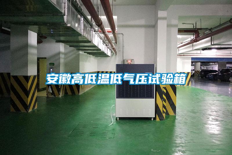 安徽高低溫低氣壓試驗(yàn)箱