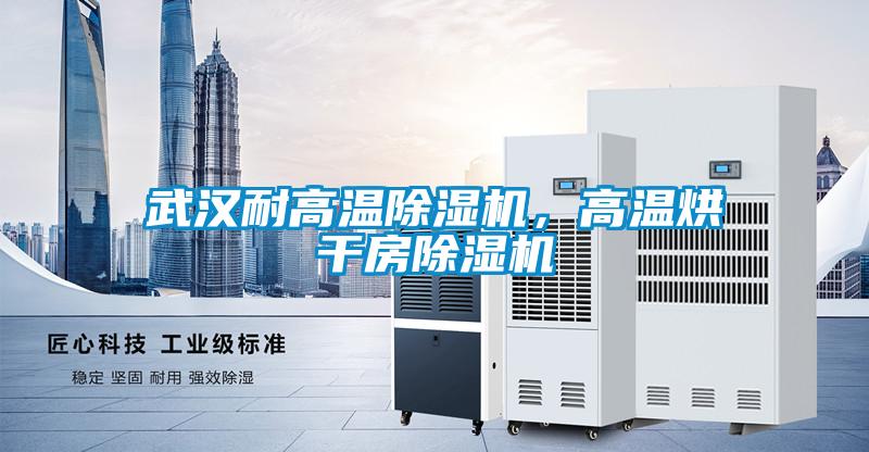 武漢耐高溫除濕機(jī)，高溫烘干房除濕機(jī)