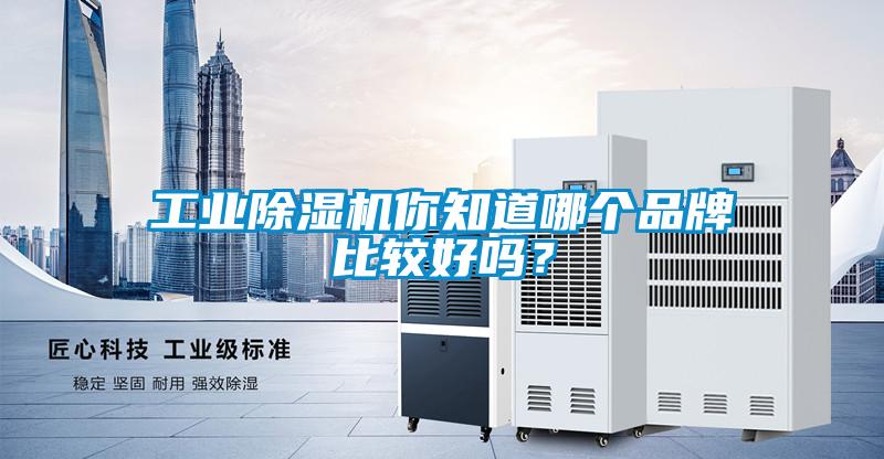 工業(yè)除濕機你知道哪個品牌比較好嗎？
