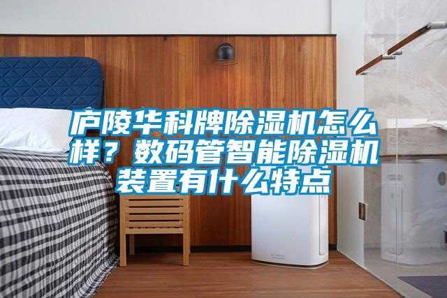 廬陵華科牌除濕機怎么樣？數(shù)碼管智能除濕機裝置有什么特點