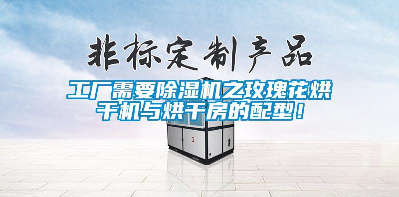 工廠需要除濕機之玫瑰花烘干機與烘干房的配型！