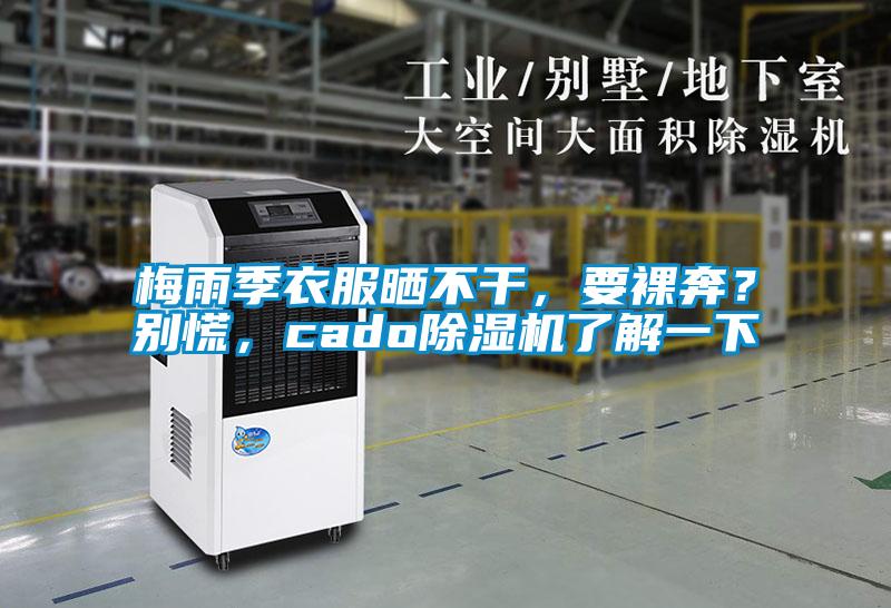 梅雨季衣服曬不干，要裸奔？別慌，cado除濕機(jī)了解一下