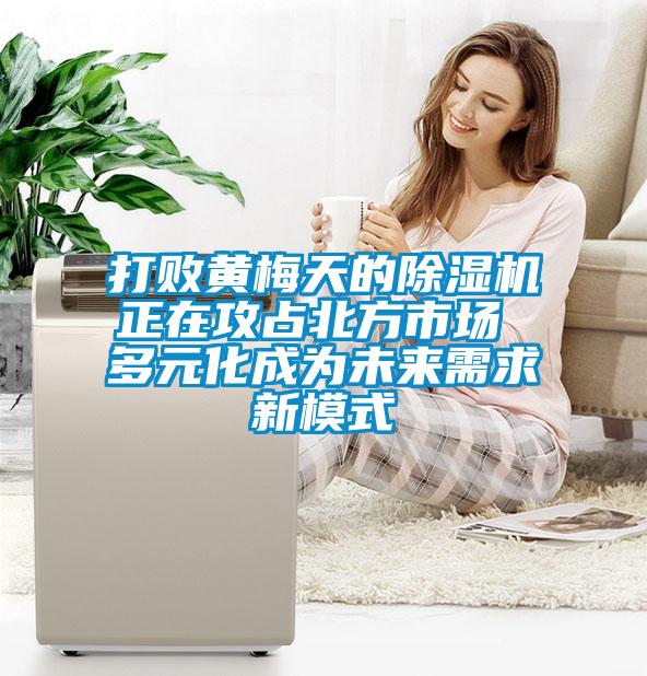 打敗黃梅天的除濕機(jī)正在攻占北方市場(chǎng) 多元化成為未來需求新模式