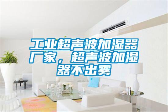 工業(yè)超聲波加濕器廠家，超聲波加濕器不出霧