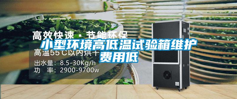 小型環(huán)境高低溫試驗箱維護(hù)費用低