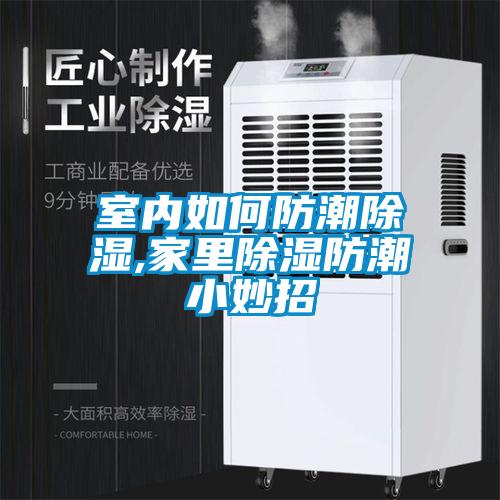 室內(nèi)如何防潮除濕,家里除濕防潮小妙招