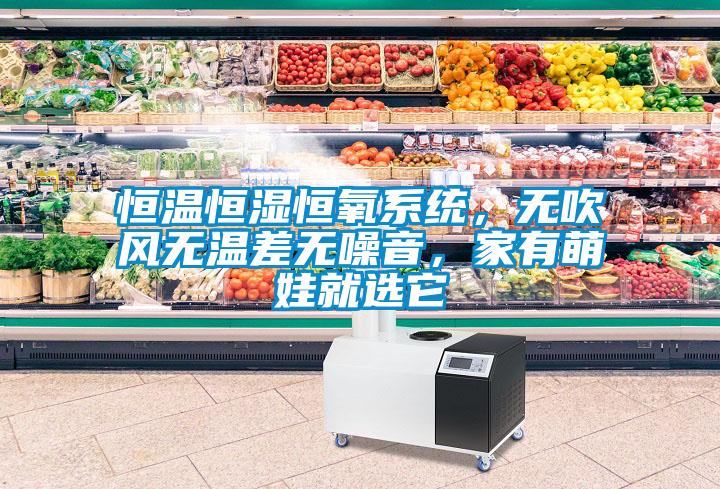 恒溫恒濕恒氧系統(tǒng)，無吹風(fēng)無溫差無噪音，家有萌娃就選它