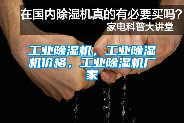 工業(yè)除濕機，工業(yè)除濕機價格，工業(yè)除濕機廠家