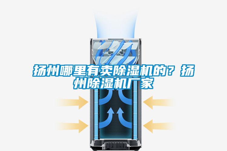 揚州哪里有賣除濕機的？揚州除濕機廠家