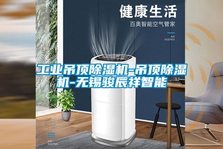 工業(yè)吊頂除濕機(jī)-吊頂除濕機(jī)-無錫駿辰祥智能