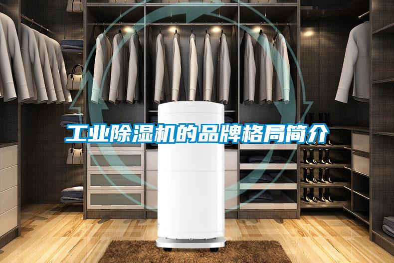 工業(yè)除濕機的品牌格局簡介