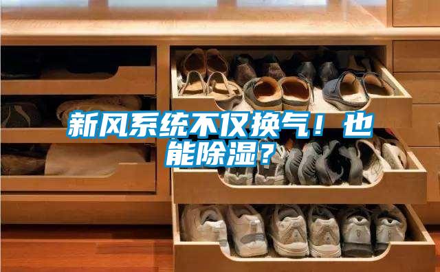 新風(fēng)系統(tǒng)不僅換氣！也能除濕？