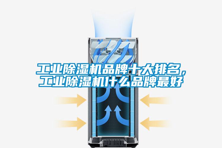 工業(yè)除濕機(jī)品牌十大排名，工業(yè)除濕機(jī)什么品牌最好