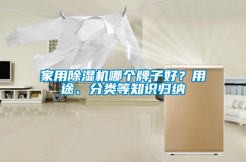 家用除濕機(jī)哪個(gè)牌子好？用途、分類等知識(shí)歸納