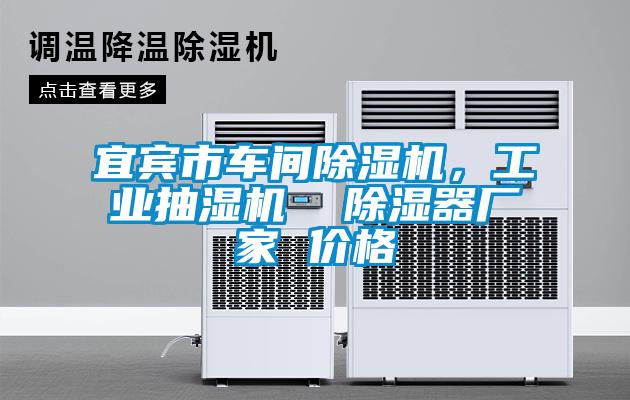 宜賓市車間除濕機，工業(yè)抽濕機  除濕器廠家 價格