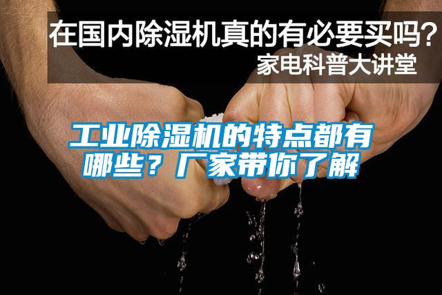 工業(yè)除濕機的特點都有哪些？廠家?guī)懔私?></div>
								<div   id=