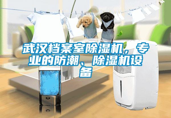 武漢檔案室除濕機(jī)，專業(yè)的防潮、除濕機(jī)設(shè)備
