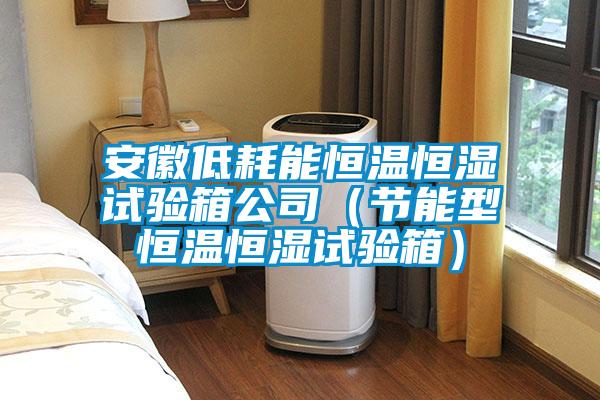 安徽低耗能恒溫恒濕試驗箱公司（節(jié)能型恒溫恒濕試驗箱）