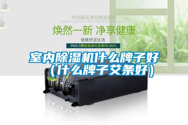 室內(nèi)除濕機什么牌子好（什么牌子艾條好）