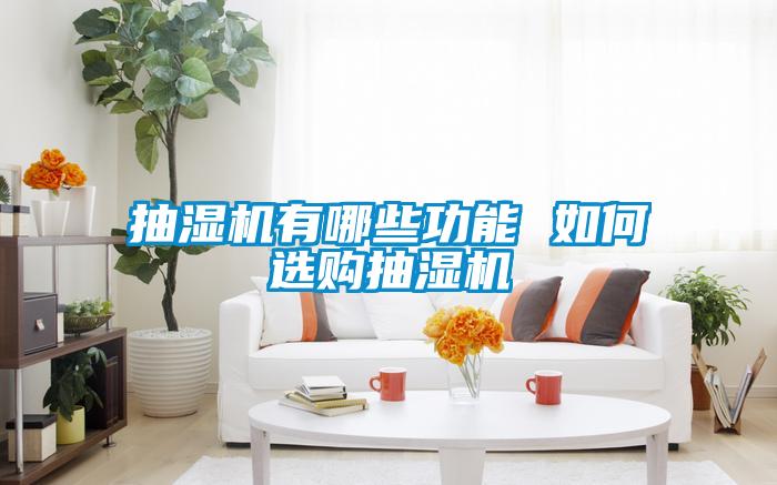 抽濕機(jī)有哪些功能 如何選購抽濕機(jī)