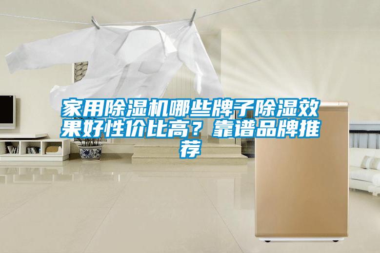 家用除濕機(jī)哪些牌子除濕效果好性價比高？靠譜品牌推薦