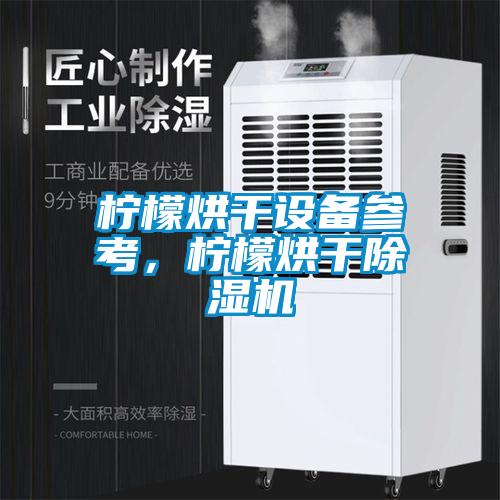檸檬烘干設(shè)備參考，檸檬烘干除濕機