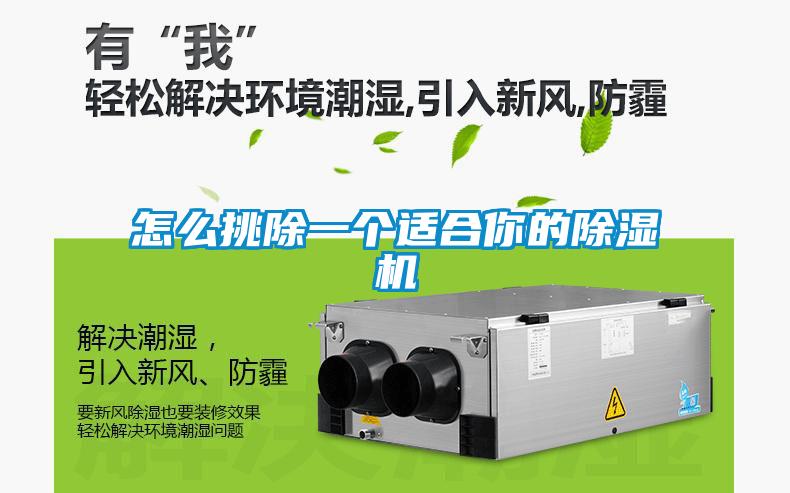 怎么挑除一個(gè)適合你的除濕機(jī)