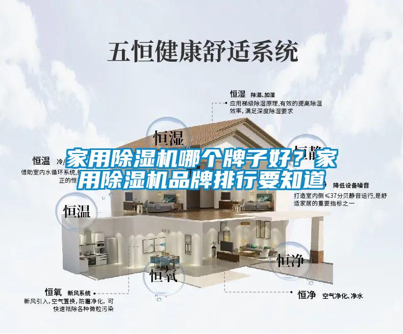 家用除濕機(jī)哪個牌子好？家用除濕機(jī)品牌排行要知道