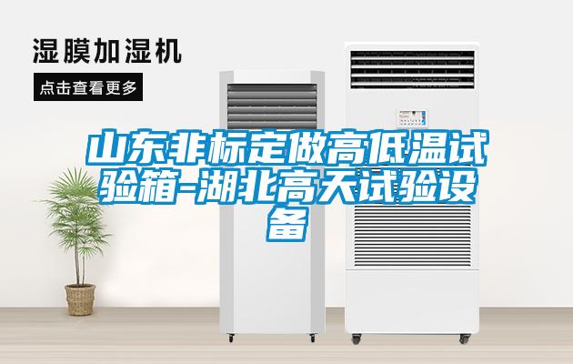 山東非標(biāo)定做高低溫試驗(yàn)箱-湖北高天試驗(yàn)設(shè)備