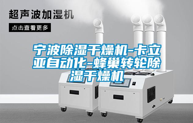 寧波除濕干燥機(jī)-卡立亞自動(dòng)化-蜂巢轉(zhuǎn)輪除濕干燥機(jī)