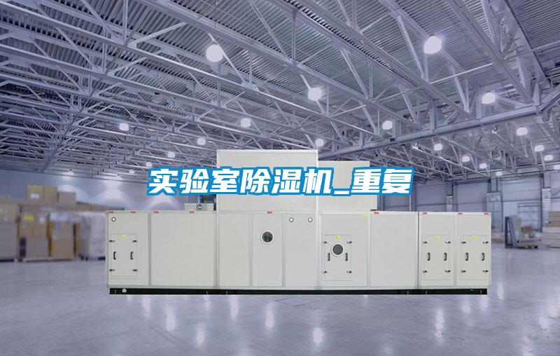 實驗室除濕機_重復(fù)