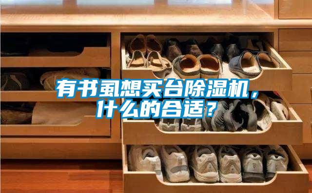 有書虱想買臺(tái)除濕機(jī)，什么的合適？