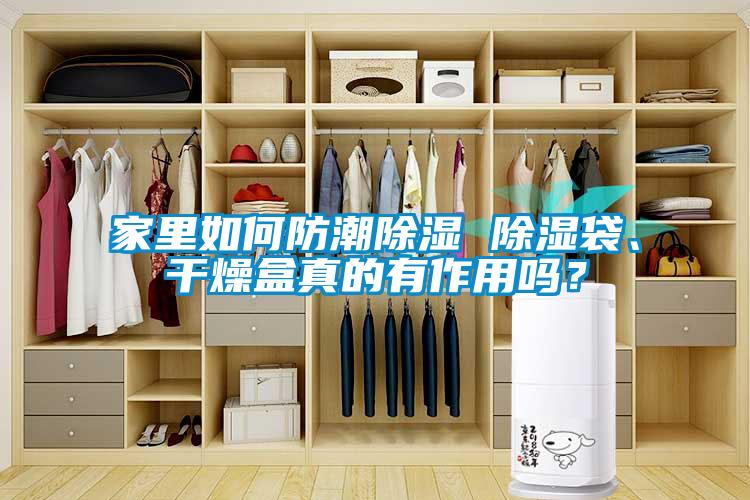 家里如何防潮除濕 除濕袋、干燥盒真的有作用嗎？