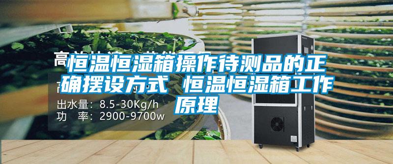 恒溫恒濕箱操作待測品的正確擺設(shè)方式 恒溫恒濕箱工作原理