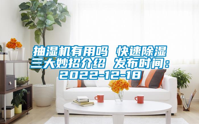抽濕機(jī)有用嗎 快速除濕三大妙招介紹 發(fā)布時間：2022-12-18