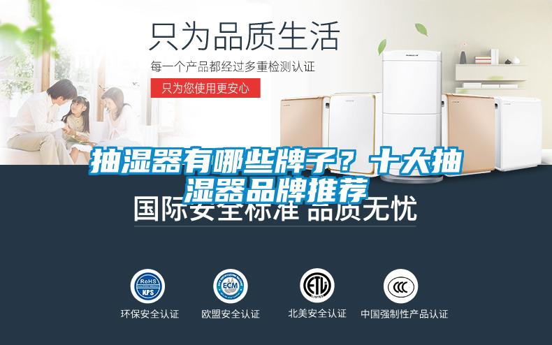 抽濕器有哪些牌子？十大抽濕器品牌推薦