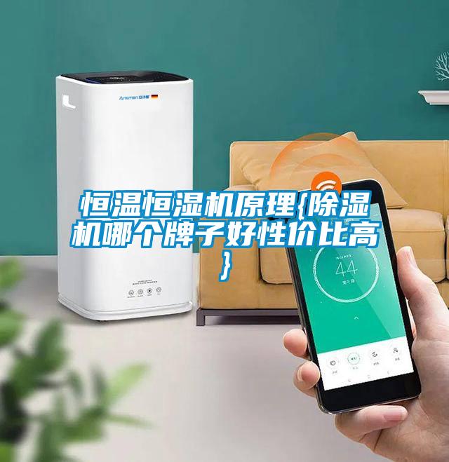 恒溫恒濕機原理{除濕機哪個牌子好性價比高}