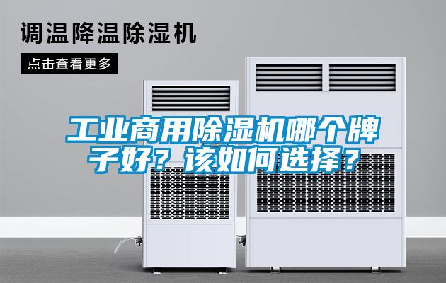 工業(yè)商用除濕機(jī)哪個(gè)牌子好？該如何選擇？